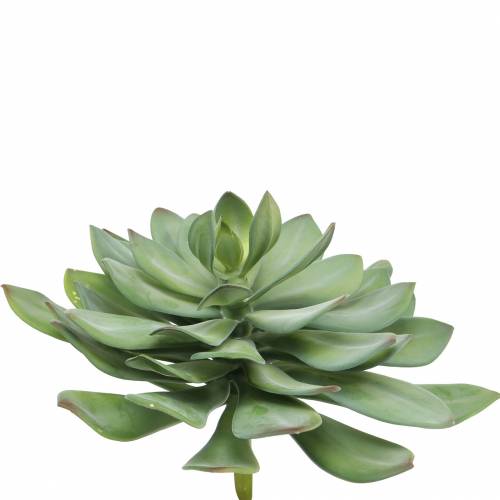 Floristik24 Dekoratyvinis sultingas augalas dirbtinis žalias Ø30cm H27cm