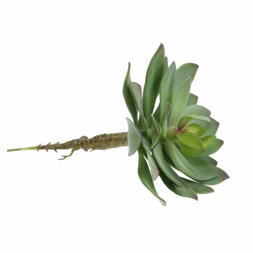 daiktų Dirbtinis sultingas žalias 27cm
