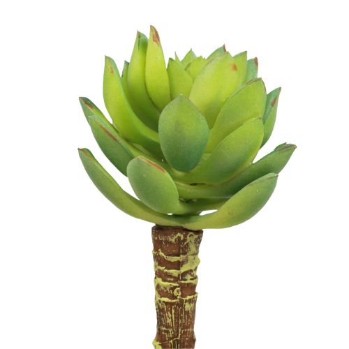 Sultingas Echeveria dirbtinis žalias augalas žalias Ø5,5 cm 12,5 cm