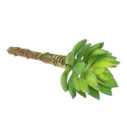 daiktų Sultingas Echeveria dirbtinis žalias augalas žalias Ø5,5 cm 12,5 cm