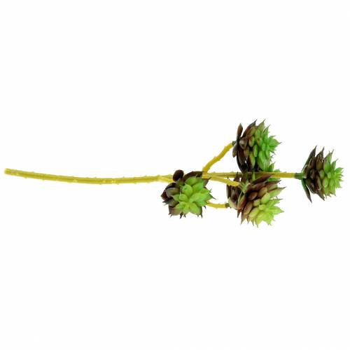 daiktų Sultingas kirtiklis žalias / rudas 35,5 cm