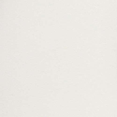 daiktų Padėklas su praktiškomis rankenomis, skirtas įvairiam naudojimui namuose ir maitinimo sektoriuje, 30 cm