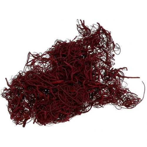 Floristik24 Tamarind Fiber 500g Vyno raudona