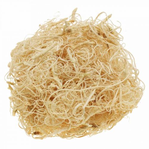 daiktų Tamarindo pluoštas 500g balintas