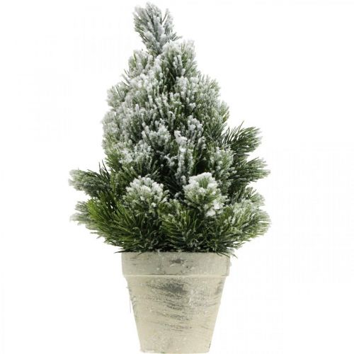 Floristik24 Mini eglutė dirbtinai apsnigtame vazonėlyje Ø18cm H32cm