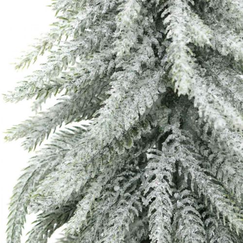 Floristik24 Dekoratyvinė eglė su sniegu, advento puošmena, eglė vazonėlyje H37cm