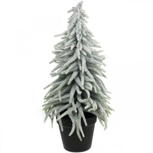 Žieminė eglė vazone, kalėdinė puošmena, eglė su sniegu H45cm