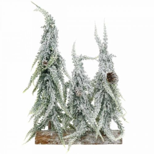 Floristik24 Eglės su sniegu, Advento puošmena, žiemos miškas L16.5cm H28cm
