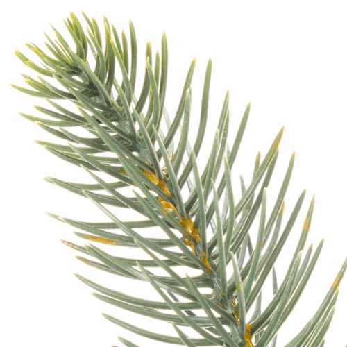 Dirbtinė eglės šaka, šventinė lango dekoracija, 50 cm, 3 dalys | Floristik24.lt