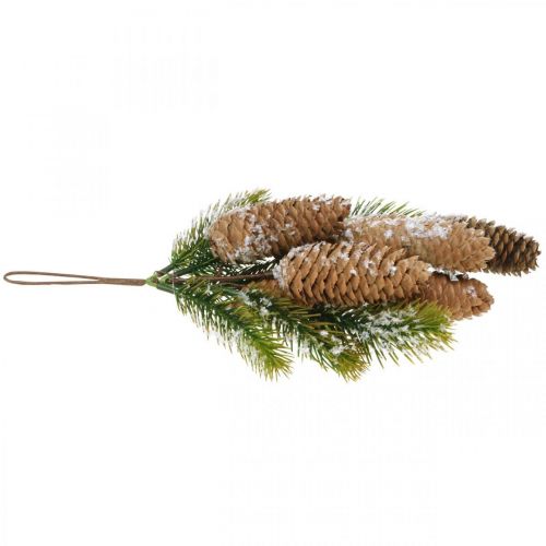 Floristik24 Eglės žalias su kūgiais, žieminė puošmena, eglės šaka pakabinimui, apsnigto spygliuko puošmena L33cm