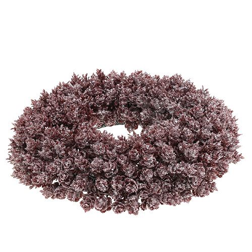 Floristik24 Kankorėžio vainikas Ø25cm Burgundijos ledinis
