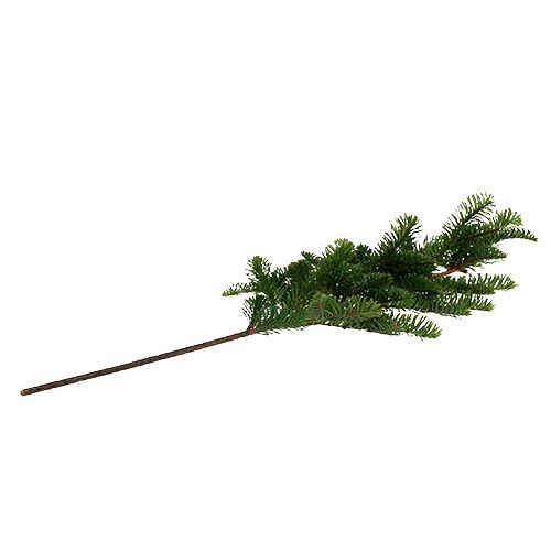 Floristik24 Eglės šaka dirbtinė žalia L66cm