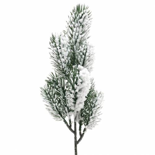 Floristik24 Žalia eglės šaka padengta sniegu 39cm 8 vnt