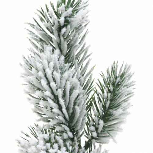 Floristik24 Žalia eglės šaka padengta sniegu 39cm 8 vnt