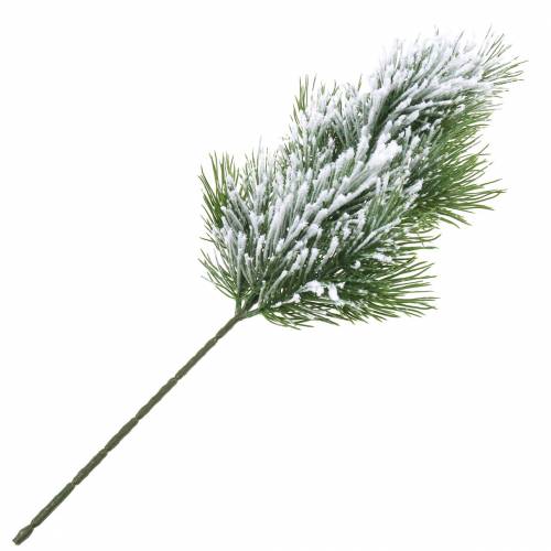 Floristik24 Pušies šaka žalia apsnigta 50cm