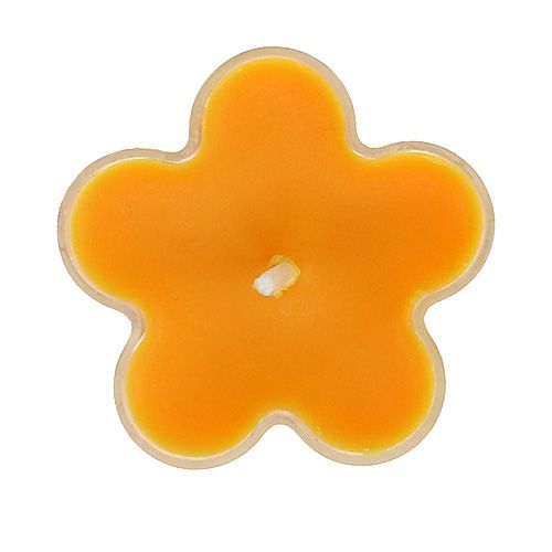 Floristik24 Arbatinė kaip gėlė su kvapu 4,5x2cm 6vnt