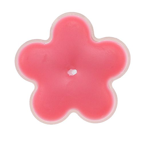 Floristik24 Arbatinė gėlė su kvapu Ø4,5cm x 2cm 6vnt