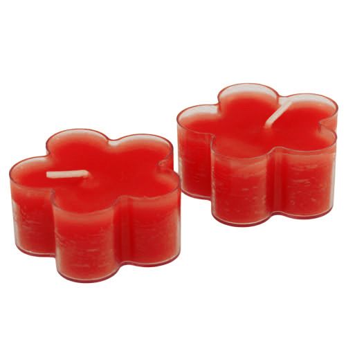 Floristik24 Blossom Light Ruby 12vnt