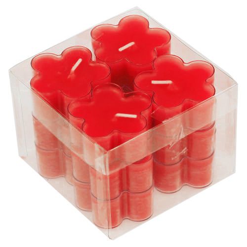 Floristik24 Blossom Light Ruby 12vnt