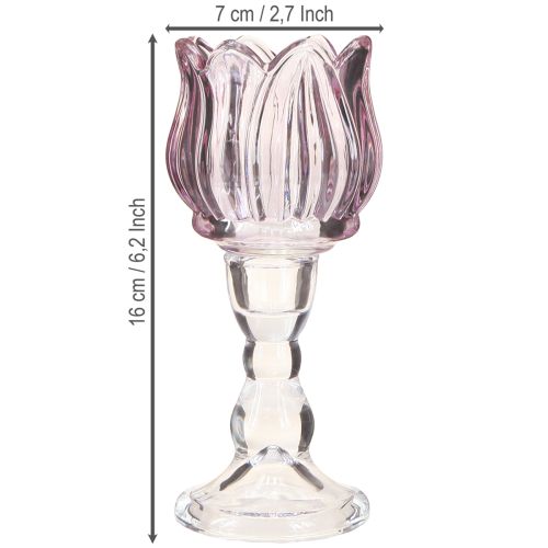 daiktų Arbatinės stiklinės tulpės arbatinės žvakidės laikiklis stiklas violetinis Ø7cm H16cm 2vnt