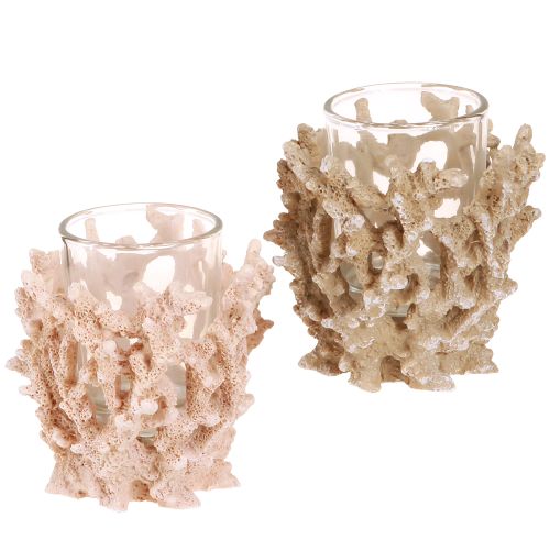 Žvakės laikiklis koralų dekoravimas maritime cream rudas H9cm 2vnt