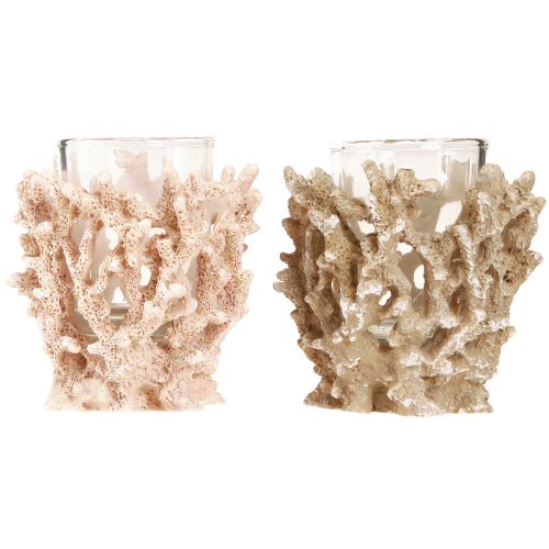 Floristik24 Žvakės laikiklis koralų dekoravimas maritime cream rudas H9cm 2vnt