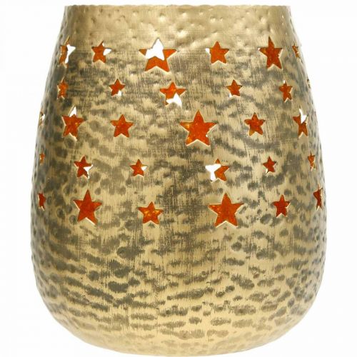Floristik24 Kalėdinės dekoracijos arbatinės žvakidės laikiklis su aukso spalvos žvaigždutėmis Ø18cm H20cm