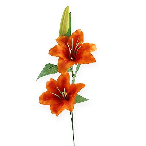 Floristik24 Tigrinė lelija oranžinė 47cm
