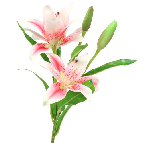 Tiger Lily Rožinė, Balta 60cm