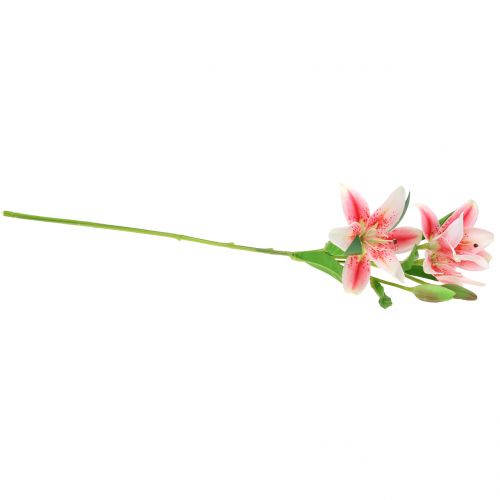 Floristik24 Tiger Lily Rožinė, Balta 60cm