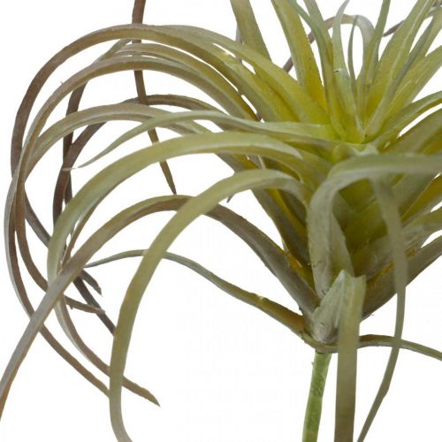 Floristik24 Tillandsia dirbtinis klijuoti žaliai violetinis dirbtinis augalas 13cm