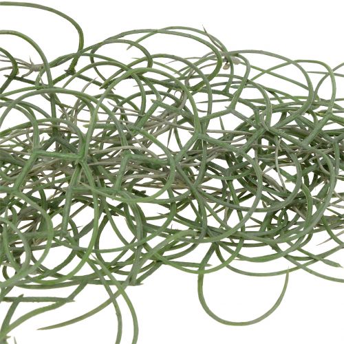 Floristik24 Tillandsia dirbtinė pilka 130cm
