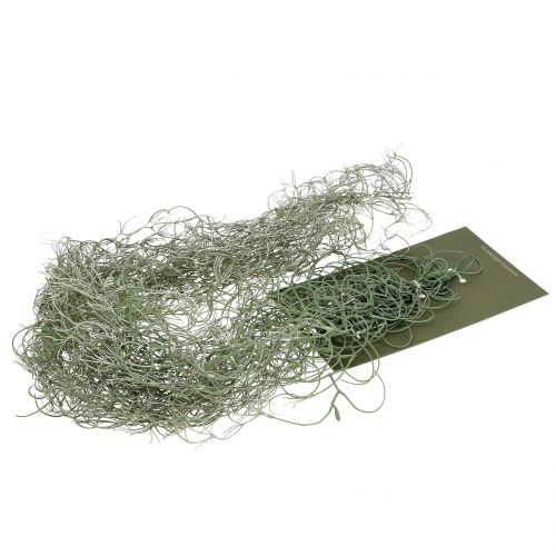 Floristik24 Tillandsia dirbtinė pilka 130cm