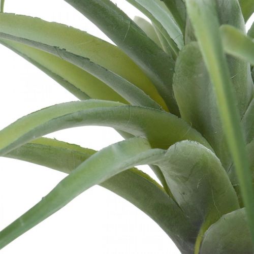 Floristik24 Deco Tillandsia dirbtinis augalas klijuoti žalias Ø45cm