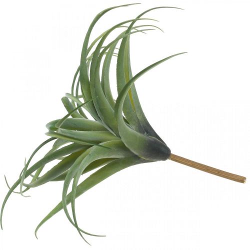 Floristik24 Deco Tillandsia dirbtinis augalas klijuoti žalias Ø45cm