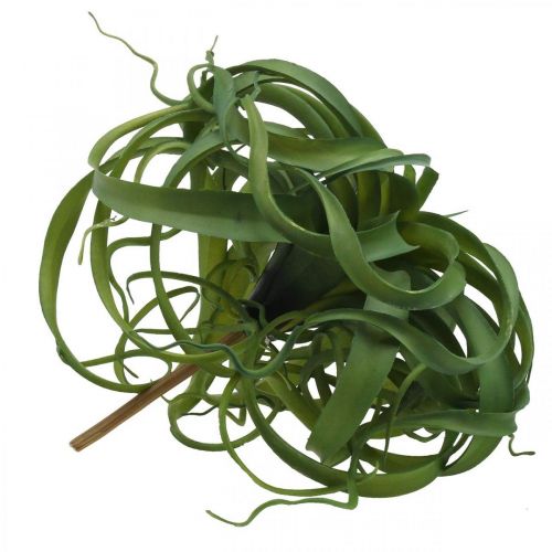 daiktų Tillandsia Dirbtinis žalias augalas klijuoti Large Green Ø40cm