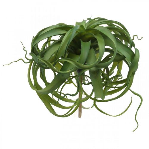 Floristik24 Tillandsia Dirbtinis žalias augalas klijuoti Large Green Ø40cm