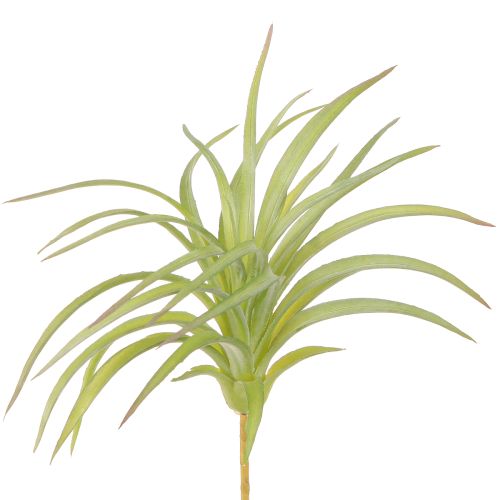 Tillandsia Green dirbtiniai augalai su lazdele Ø17cm 3 vnt