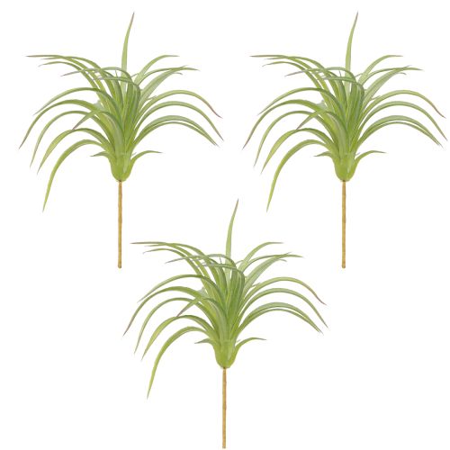 daiktų Tillandsia Green dirbtiniai augalai su lazdele Ø17cm 3 vnt
