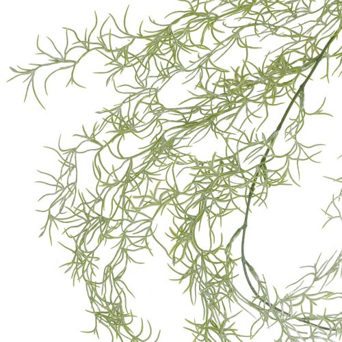 Floristik24 Tillandsia kabykla žalia 160cm