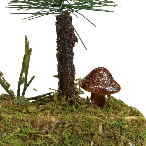 Floristik24 Stalo dekoravimas mini eglės dirbtinės eglės miško pagrindas 30cm