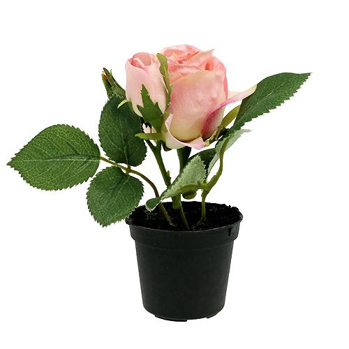 Floristik24 Stalo dekoravimo rožė vazone šviesiai rožinė 14cm