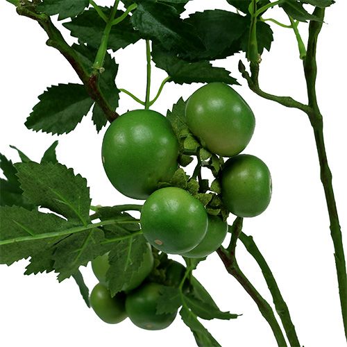 Floristik24 Pomidorų šakelė L60cm žalia