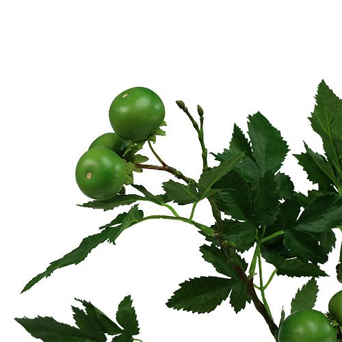 Floristik24 Pomidorų šakelė L60cm žalia