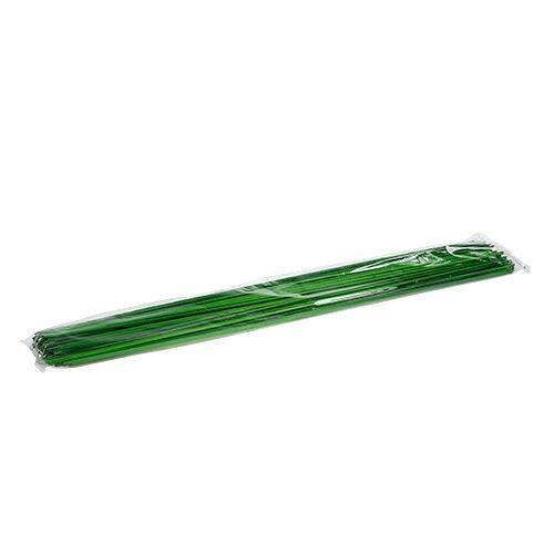Floristik24 Tonkin žalia 70cm 150p.