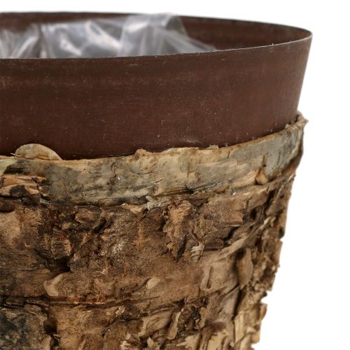 Floristik24 Vazonas su beržu ir metalu Ø17,5cm H16,5cm 1vnt