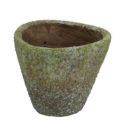 Floristik24 Vazonas pilkos samanos Ø16cm H13,5cm 1vnt