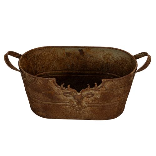 Ovalus metalinis dubuo su rankenomis, elnio motyvas, rūdžių spalvos, 36 cm | Floristik24.lt