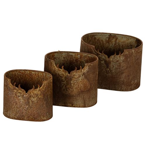 Metaliniai ovalūs, kaimiško stiliaus vazonai elniams, 3 vnt., 24 cm