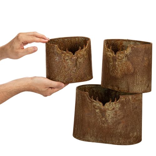 Metaliniai ovalūs, kaimiško stiliaus vazonai elniams, 3 vnt., 24 cm | Floristik24.lt